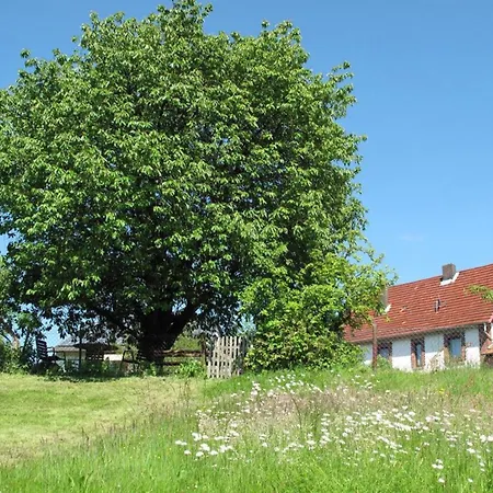 Altes Schifferhaus Apartmán *