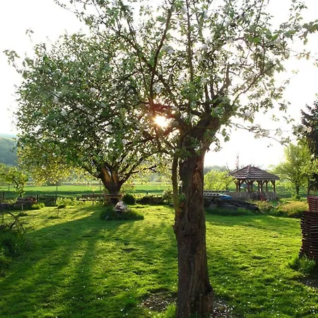 Altes Schifferhaus Apartmán Oedelsheim